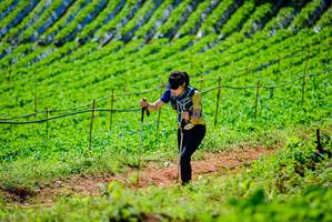 BIB: 
                            <button type="button" onclick="openModal(19163272)" class="btn btn-primary btn-sm float-right btn-popup" data-toggle="modal" data-target=".modal-high-quality">
                        <i class="fas fa-shopping-cart"></i> Add to Cart
                    </button>
                                            <button type="button" onclick="isThisMe(19163272, true)" class="btn btn-success btn-sm float-right btn-popup btn-isme hidden" data-toggle="tooltip" data-placement="bottom" title="นี่คือรูปของคุณใช่ไหม คลิกที่นี่เพื่อเอาเข้าอัลบั้ม">
                        <i class="fas fa-plus"></i> Add to album
                    </button>
                    <button type="button" onclick="isThisMe(19163272, false)" class="btn btn-warning btn-sm float-right btn-popup btn-isnotme hidden">
                        <i class="fas fa-ban"></i> Remove from album
                    </button>